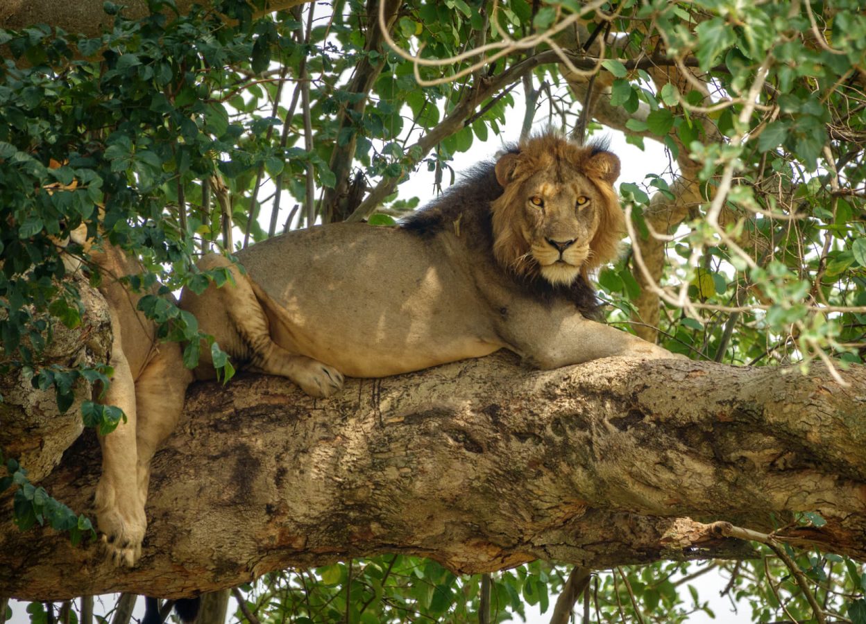 uganda-adventure (1)